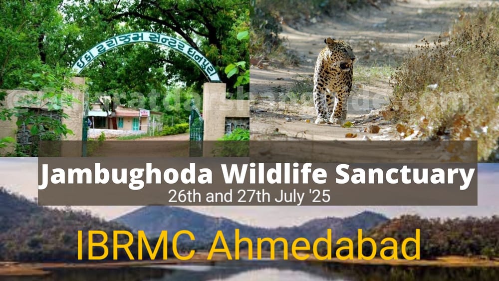 Jambughoda-Wildlife-Sanctuary-Online-Tickets-Booking-Price~2.jpg