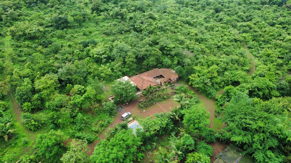 dji_fly_20260726_92150 AM_432_1785081872925_photo_optimized.jpg